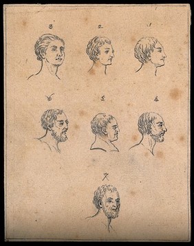 Seven physiognomies. Drawing, c. 1793.