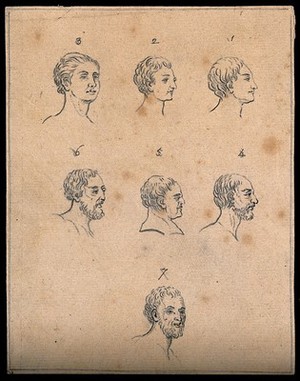 view Seven physiognomies. Drawing, c. 1793.