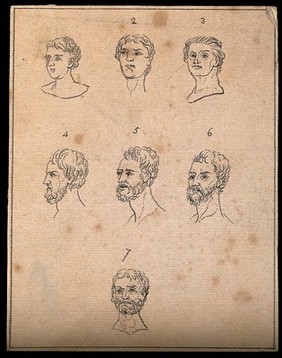 Seven physiognomies. Drawing, c. 1793.