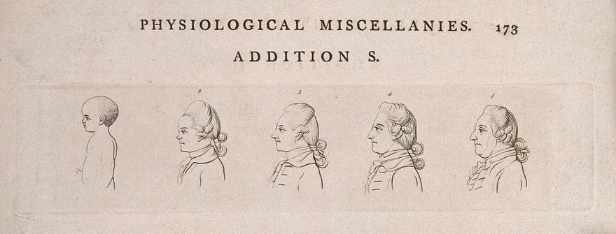 Progression of a man through the ages of infancy to the age of fifty. Engraving, c. 1794.