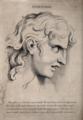 The face of a young man in a state of attention. Engraving by J. Tinney, ca. 1730/1740, after C. Le Brun.