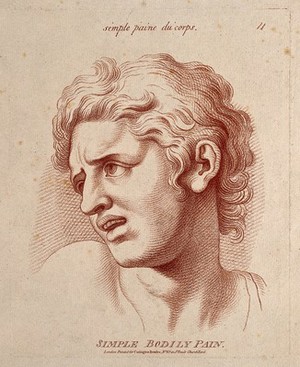 view A male face expressing moderate pain. Crayon manner print by W. Hebert, c. 1770, after C. Le Brun.