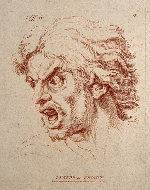 A bearded man whose face expresses horror. Etching in the crayon manner by W. Hebert, c. 1770, after C. Le Brun.