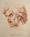 view A bearded man whose face expresses horror. Crayon manner print by W. Hebert, c. 1770, after C. Le Brun.