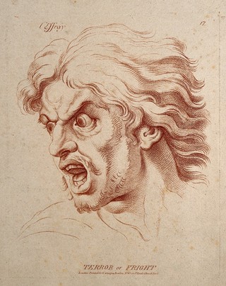 A bearded man whose face expresses horror. Crayon manner print by W. Hebert, c. 1770, after C. Le Brun.