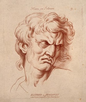 view A face expressing hatred or jealousy. Crayon manner print by W. Hebert, c. 1770, after C. Le Brun.