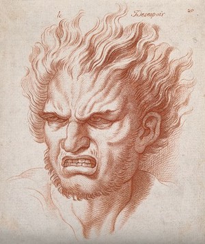 view A face with hair on end expressing despair. Crayon Manner print by W. Hebert, c. 1770, after C. Le Brun.