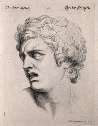 The face of a man suffering great pain. Engraving by M. Engelbrecht (?), 1732, after C. Le Brun.