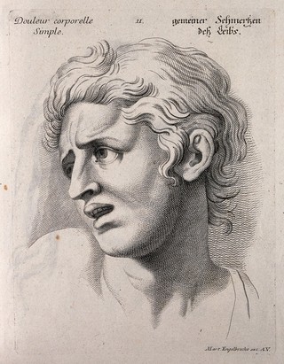 The face of a man expressing simple bodily pain. Engraving by M. Engelbrecht (?), 1732, after C. Le Brun.