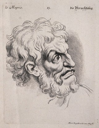 A bearded man expressing scorn. Engraving by M. Engelbrecht (?), 1732, after C. Le Brun.