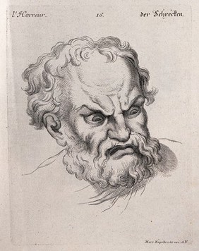 The face of a man expressing horror. Engraving by M. Engelbrecht (?), 1732, after C. Le Brun.