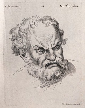 view The face of a man expressing horror. Engraving by M. Engelbrecht (?), 1732, after C. Le Brun.