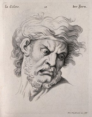 view Face of a bearded man expressing anger. Engraving by M. Engelbrecht (?), 1732, after C. Le Brun.