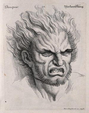 view Head of a man with hair raised, expressing despair. Engraving by M. Engelbrecht (?), 1732, after C. Le Brun.