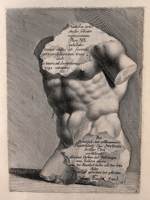 A chipped statue of a torso. Engraving by J.D. Herz after himself, c. 1732.