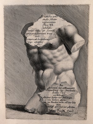 view A chipped statue of a torso. Engraving by J.D. Herz after himself, c. 1732.