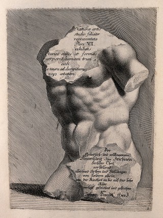 A chipped statue of a torso. Engraving by J.D. Herz after himself, c. 1732.