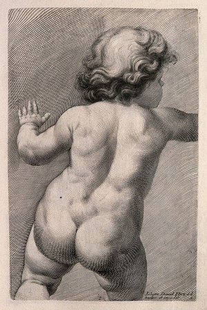 view Back of a naked child. Engraving by J.D. Herz after himself, c. 1732.