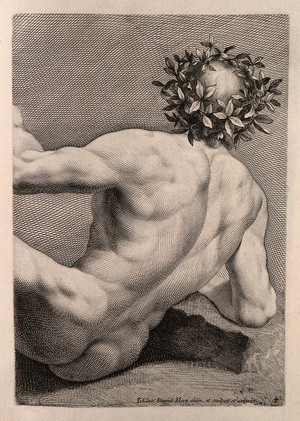 view A young, naked man with a wreathed head: back view. Engraving by J.D. Herz after himself, c. 1732.