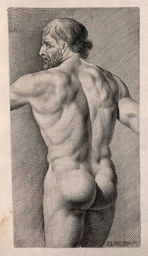 view A middle aged man, nude: back view. Engraving by J.D. Herz after himself, c. 1732.