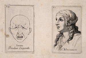 view Outline of a face in extreme pain (left); a woman's head, showing admiration. Etching by B. Picart, 1713, after C. Le Brun.