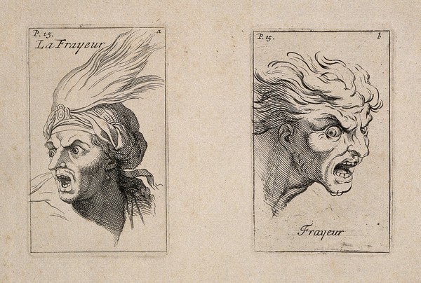 Face of a frightened soldier (left); the human face in an animal state of fear (right). Etching by B. Picart, 1713, after C. Le Brun.