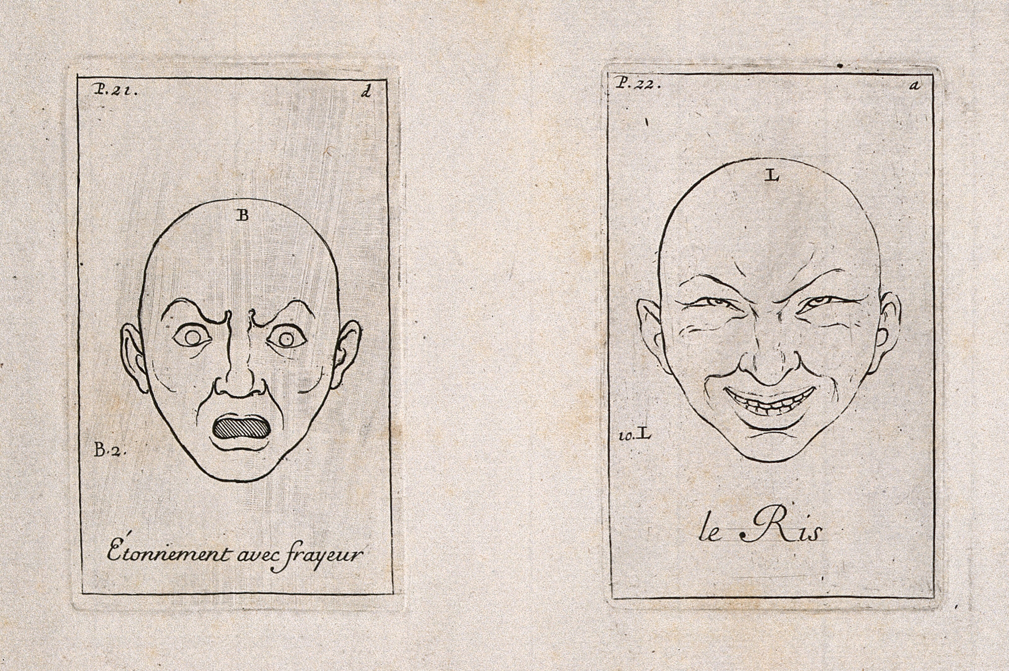 Le Brun's depiction of the passions is supported by his theory of the passions, which is delineated in the 'Conférence'. In Cartesian style, each compound passion is an organisation of the six simple passions of admiration, love, hatred, desire, joy and sadness. For instance, jealousy is a composite of love and hate; despair 