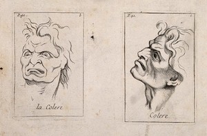 view A frontal outline and a profile of faces expressing anger. Etching by B. Picart, 1713, after C. Le Brun.