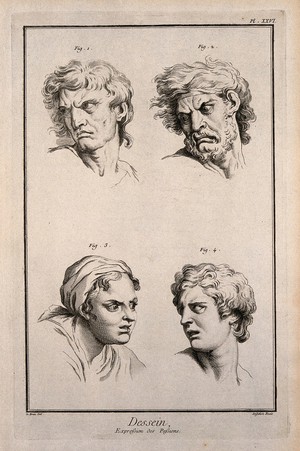 view Four faces expressing (clockwise from top left): hatred or jealousy, anger, acute pain and desire. Etching by A-J. de Fehrt after C. Le Brun.