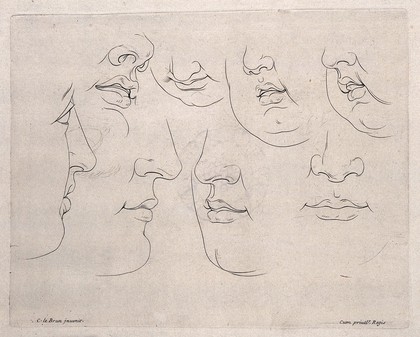 Lower parts of the face: outlines. Engraving after C. Le Brun.