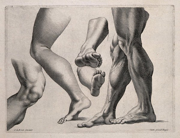 Legs in various attitudes. Engraving after C. Le Brun.