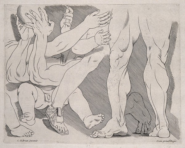 Legs, feet and lower parts of the body. Engraving after C. Le Brun.