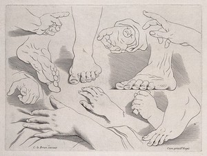 view Hands and feet in outline. Engraving after C. Le Brun.