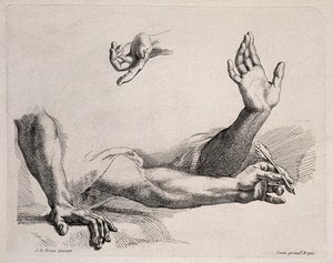 view Three forearms and one hand. Engraving after C. Le Brun.