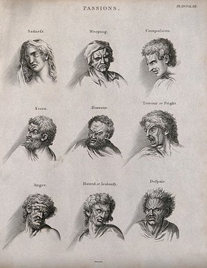 view Ten faces expressing the human passions. Engraving by Barlow after C. Le Brun.
