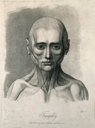 An écorché face showing the state of the facial muscles during relaxation. Stipple engraving by H. Singleton (?) after G.T. Stubbs after G. Stubbs, 1815.