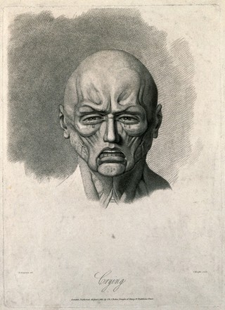 An écorché face weeping, showing the muscles involved. Stipple engraving by H. Singleton (?) after G.T. Stubbs after G. Stubbs, 1815.