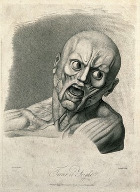 An écorché face showing the muscles involved in the expression of terror. Stipple engraving by H. Singleton (?) after G.T. Stubbs after G. Stubbs, 1815.