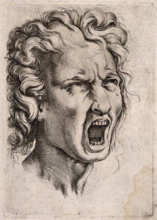 Head of a man screaming. Engraving after Michelangelo.