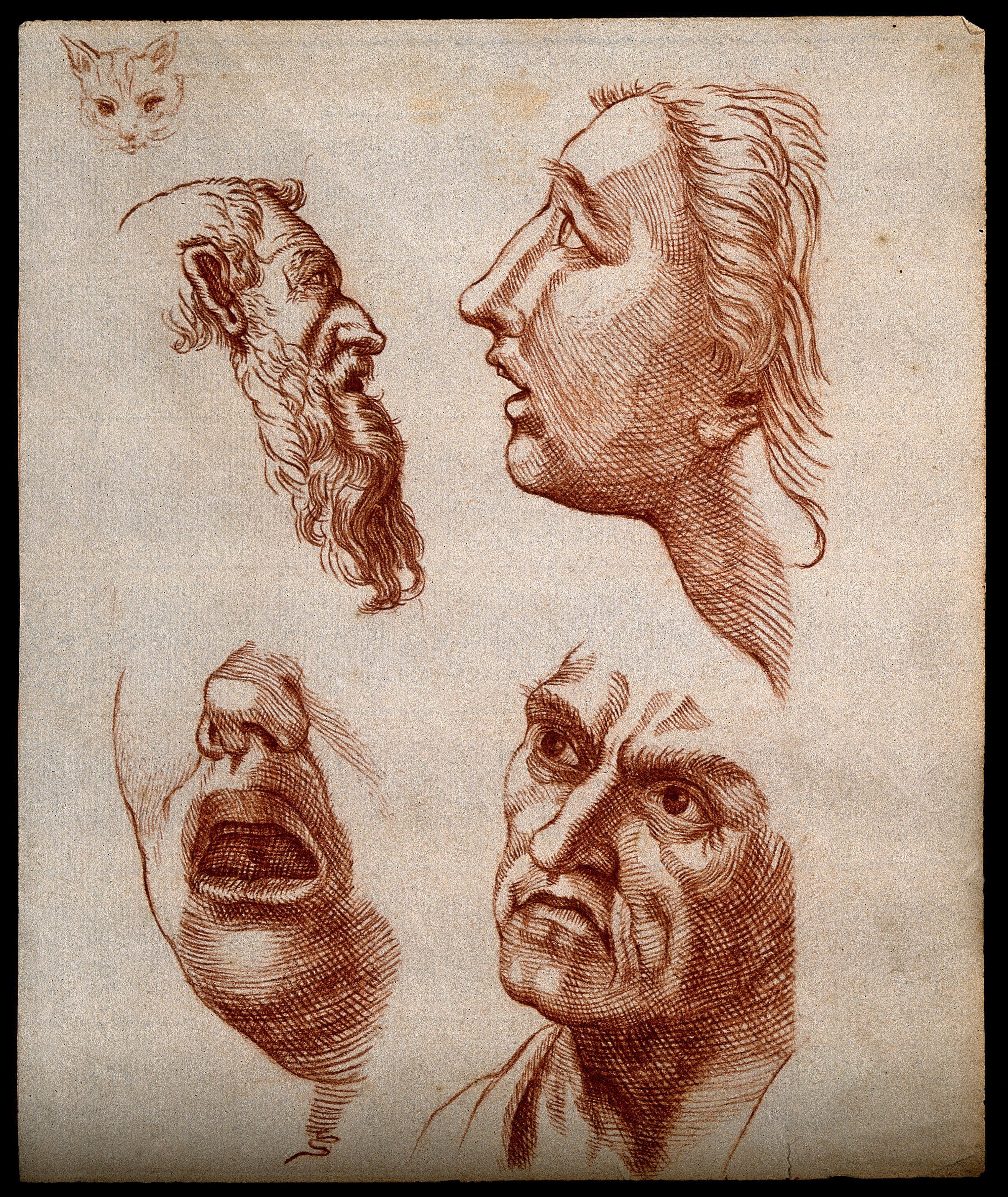 Four Human Faces And One Cat S Face Sketches Drawing Wellcome Collection,Sketch Tom And Jerry Easy Draw