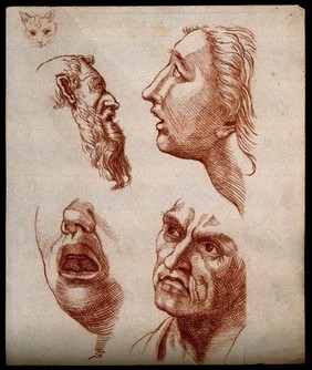 Four human faces and one cat's face: sketches. Drawing.
