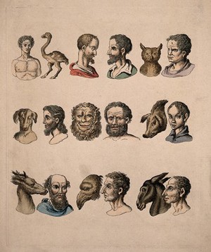 view Human physiognomies next to animal physiognomies, showing the relations between certain of the species. Etching, c. 1820, after C. Le Brun.