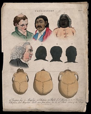 view Four faces: a European, a Mongolian, an Ethiopian, and a profile of Samuel Johnson; three frontal silhouettes; three skulls of the same races seen from above (in the order European, Ethiopian and Mongolian). Coloured engraving by J. Pass, 1824.