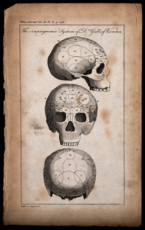 view Three perspectives of a skull, sectioned and numbered according to Gall's system of phrenology. Etching by Mutlow.