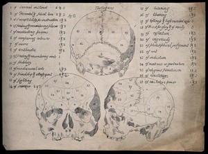 view Three perspectives of a skull sectioned and labelled according to an unorthodox system of phrenology. Pen drawing, 18--.