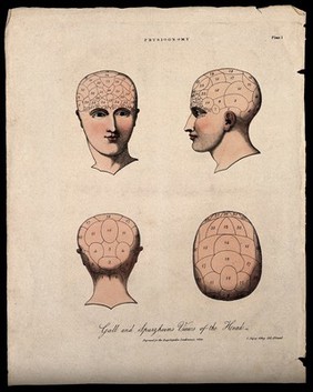 The human head, divided according to the system of phrenology. Coloured lithograph by C. Ingrey, 1824.