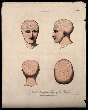 view The human head, divided according to the system of phrenology. Coloured lithograph by C. Ingrey, 1824.