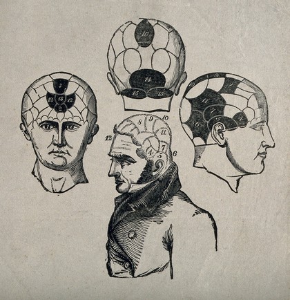 A male figure and three phrenological heads. Wood engraving.