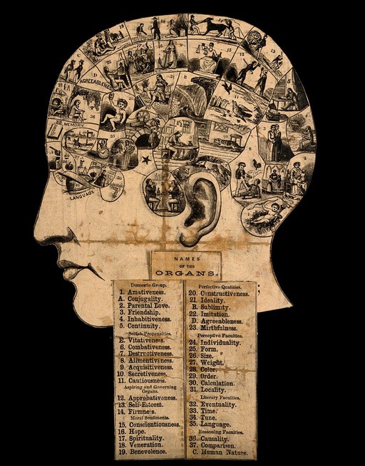 A head divided into thirty seven compartments, each containing an image representing a phrenological faculty. Wood engraving, after O.S. Fowler, c. 1840.