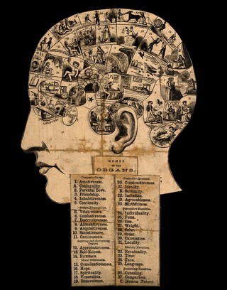 A head divided into thirty seven compartments, each containing an image representing a phrenological faculty. Wood engraving, after O.S. Fowler, c. 1840.